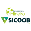 Brazilian Campeonato Mineiro Division 1