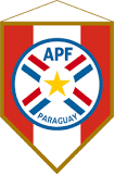 Paraguayan Cup