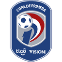 Paraguayan Primera Division