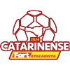 Brazilian Campeonato Catarinense Division 1