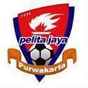 Pelita Jaya