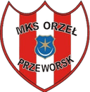 Orzel Przeworsk