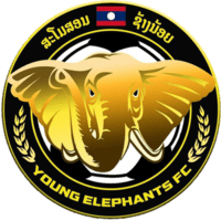 Young Elephants (w)