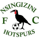 Nsingizini Hotspurs