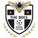 The Bees FC