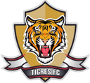 Tigres Zipaquira