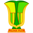 Atletico Palmaflor Vinto