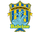 FC Baleine Shimonoseki