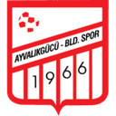 Ayvalikgucu Belediyespor