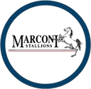 Marconi Stallions