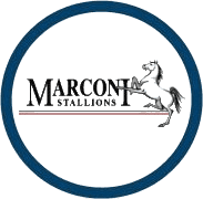 Marconi Stallions