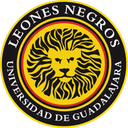 Leones Negros