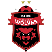 Wollongong Wolves